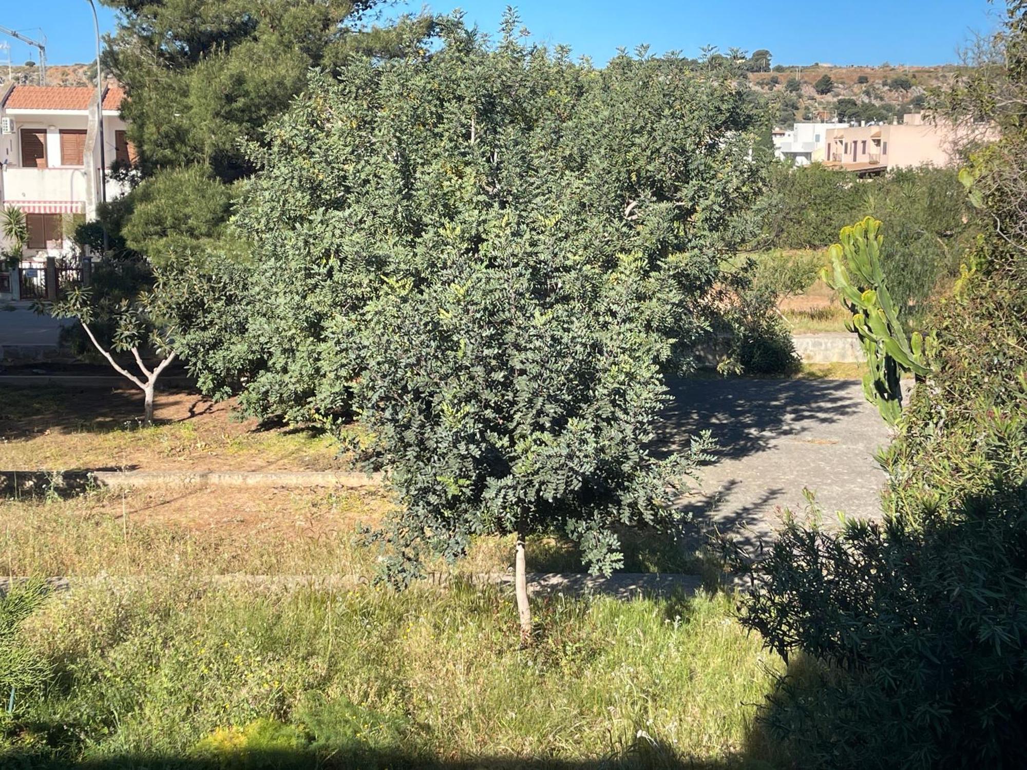 Villa Aurora e Andrea San Vito lo Capo Esterno foto